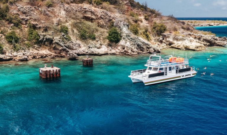 Half day Snorkel & Lunch